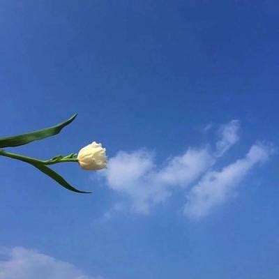 刀塔来了九游版下载