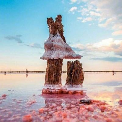 启蒙宝宝认水果大全下载